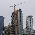 Lots of building going on, completely ignored by the gulls