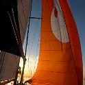 Hank's new spinnaker.