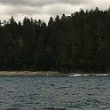 IMG 2384